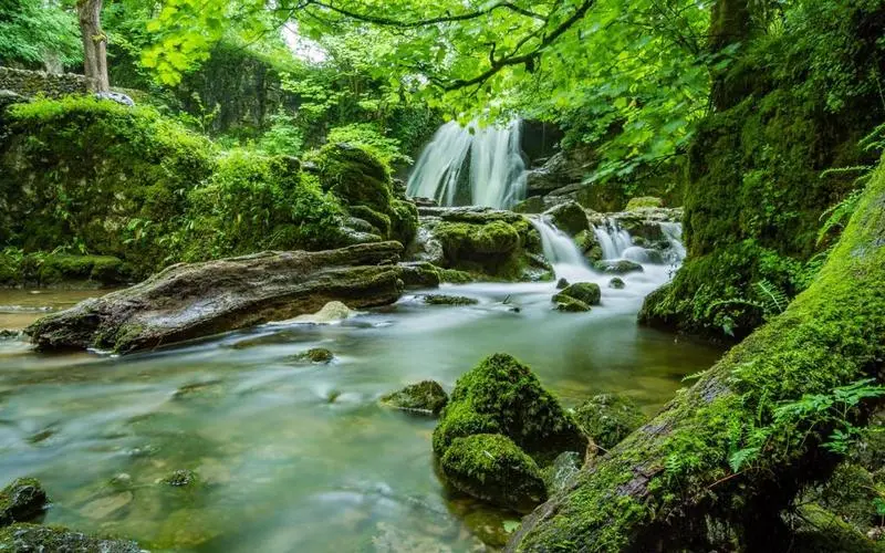 高性能智能系统